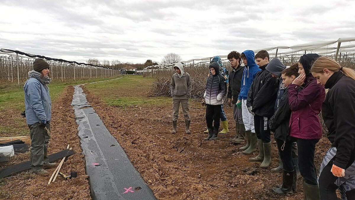 Plantation d une haie sur l exploitation du Lycée par nos élèves de l